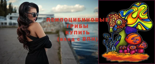 дмт Бугульма