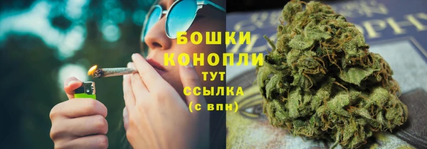 сатива Богородск